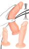 You2Toys - Anal training - élethű dildó szett - 3db
