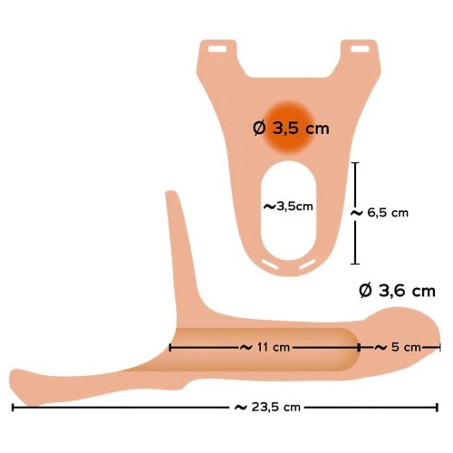 You2Toys - Strap-on M - felcsatolható, üreges dildó - natúr