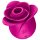 Satisfyer Pro 2 Modern Blossom - léghullámos csiklóizgató (pink)